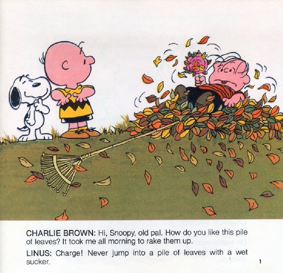 It's the Great Pumpkin, Charlie Brown (03),绘本,绘本故事,绘本阅读,故事书,童书,图画书,课外阅读